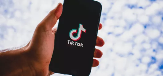 TikTok Followers